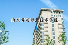 2024山东劳动职业技术学院录取分数线：河南最低310分