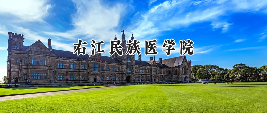 右江民族医学院