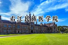 2024右江民族医学院录取分数线：河南最低450分