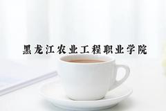 2024黑龙江农业工程职业学院录取分数线：陕西最低336分