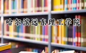 2024哈尔滨远东理工学院录取分数线：陕西最低391分