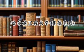 2024哈尔滨工程大学(其他单列)录取分数线：河南最低603分