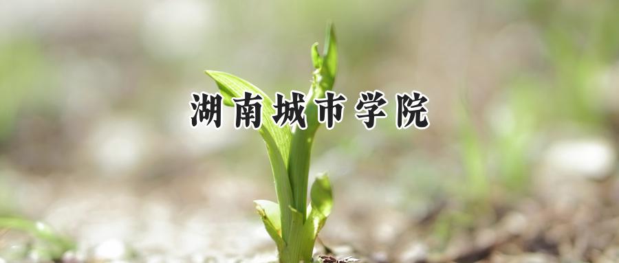 湖南城市学院