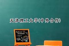 2024天津理工大学(中外合作)录取分数线：河南最低519分