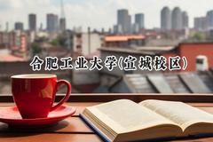 2024合肥工业大学(宣城校区)录取分数线：河南最低551分