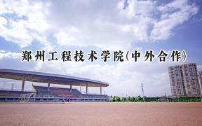 2024郑州工程技术学院(中外合作)录取分数线：河南最低186分
