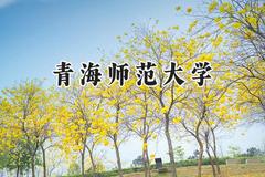 2024青海师范大学录取分数线：陕西最低453分