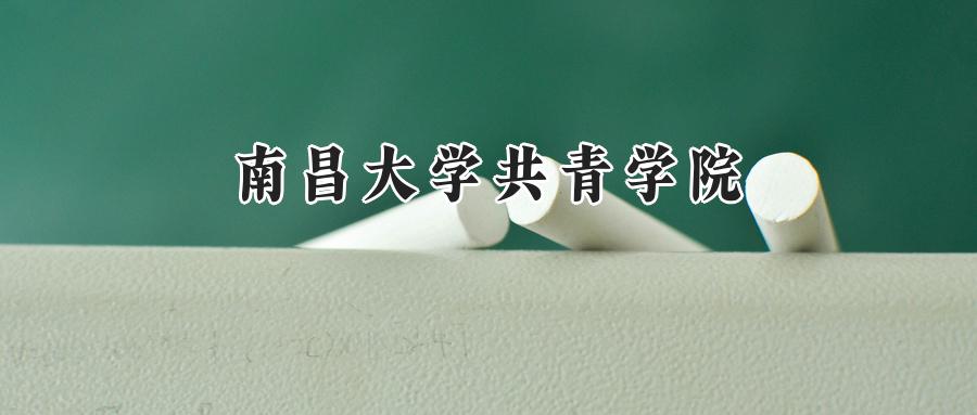 2024南昌大学共青学院录取分数线：河南最低188分-第1张图片-索考网
