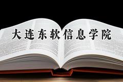 2024大连东软信息学院录取分数线：陕西最低408分