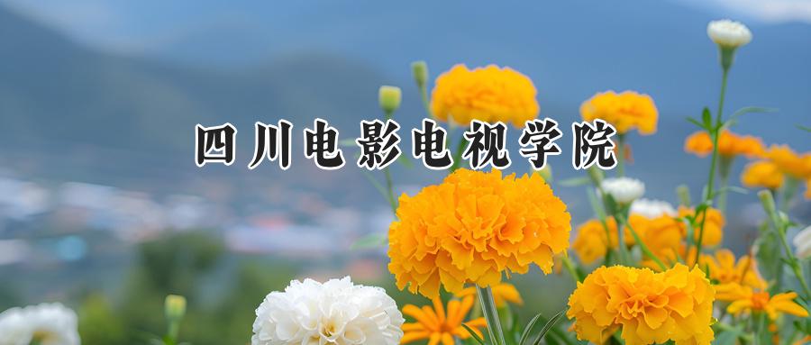 四川电影电视学院