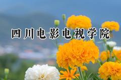 2024四川电影电视学院录取分数线：陕西最低388分