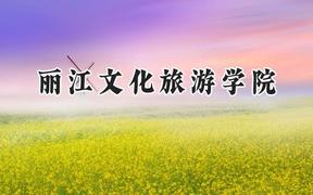 2024丽江文化旅游学院录取分数线：陕西最低330分