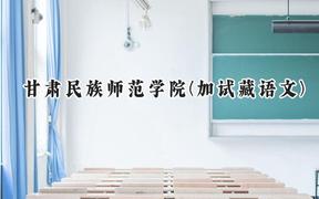 2024甘肃民族师范学院(加试藏语文)录取分数线：云南最低347分