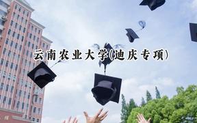 2024云南农业大学(迪庆专项)录取分数线：云南最低456分