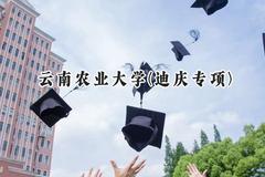2024云南农业大学(迪庆专项)录取分数线：云南最低456分