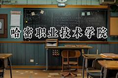 2024哈密职业技术学院录取分数线：陕西最低309分