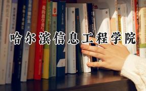 2024哈尔滨信息工程学院录取分数线：云南最低389分