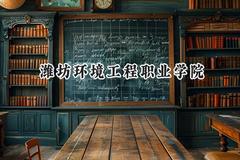 2024潍坊环境工程职业学院录取分数线：陕西最低201分