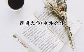 2024西南大学(中外合作)录取分数线：云南最低570分