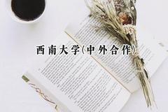 2024西南大学(中外合作)录取分数线：云南最低570分