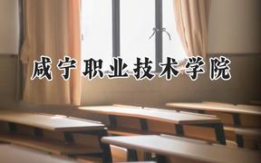 2024咸宁职业技术学院录取分数线：陕西最低327分