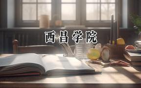 2024西昌学院录取分数线：云南最低475分