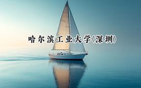 2024哈尔滨工业大学(深圳)录取分数线：陕西最低609分