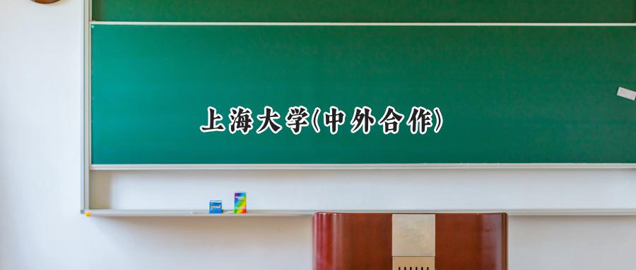 上海大学(中外合作)
