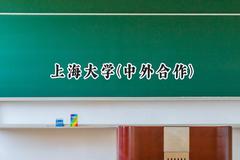 2024上海大学(中外合作)录取分数线：云南最低574分