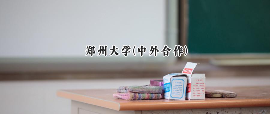 郑州大学(中外合作)