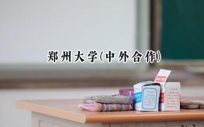 2024郑州大学(中外合作)录取分数线：河南最低552分