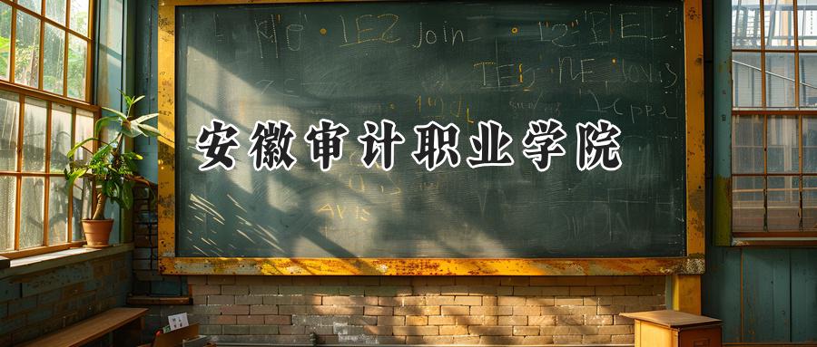 安徽审计职业学院