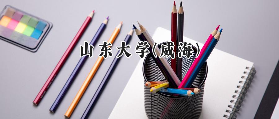 山东大学(威海)