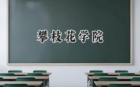 2024攀枝花学院录取分数线：云南最低471分