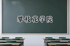 2024攀枝花学院录取分数线：云南最低471分