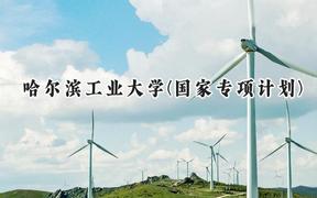 2024哈尔滨工业大学(国家专项计划)录取分数线：陕西最低619分