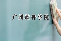 2024广州软件学院录取分数线：云南最低421分