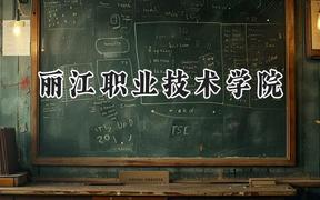 2024丽江职业技术学院录取分数线：云南最低202分