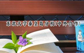 2024東北大學(xué)秦皇島分校(中外合作)錄取分?jǐn)?shù)線：陜西最低593分