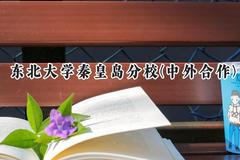 2024东北大学秦皇岛分校(中外合作)录取分数线：陕西最低593分