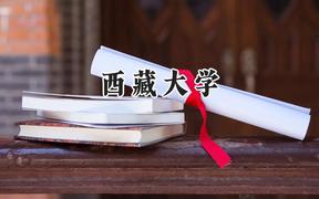 2024西藏大學錄取分數(shù)線：云南最低481分