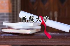2024西藏大学录取分数线：云南最低481分