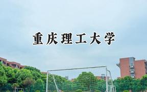 2024重庆理工大学录取分数线：云南最低521分