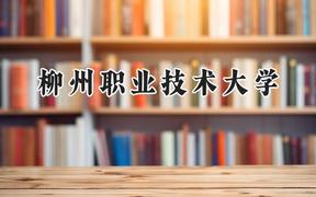 2024柳州职业技术大学录取分数线：云南最低332分