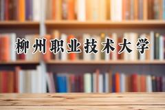 2024柳州职业技术大学录取分数线：云南最低332分