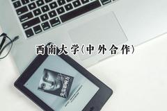 2024西南大学(中外合作)录取分数线：陕西最低546分
