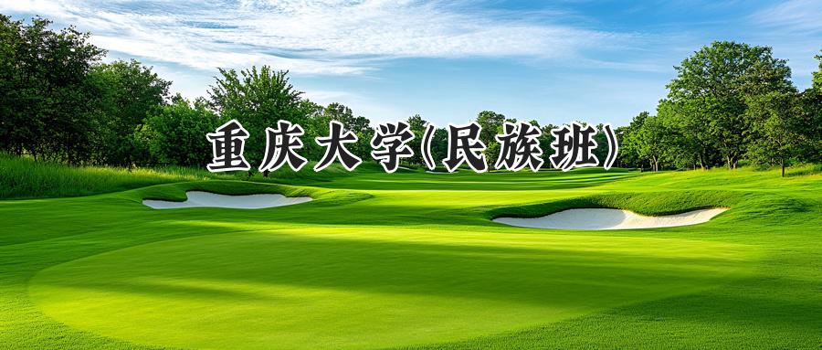 重庆大学(民族班)