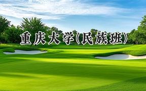 2024重庆大学(民族班)录取分数线：云南最低607分