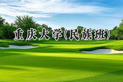 2024重庆大学(民族班)录取分数线：云南最低607分