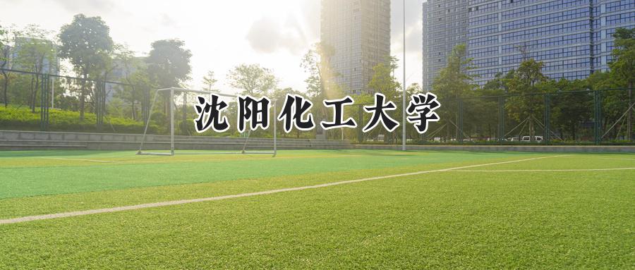 沈阳化工大学